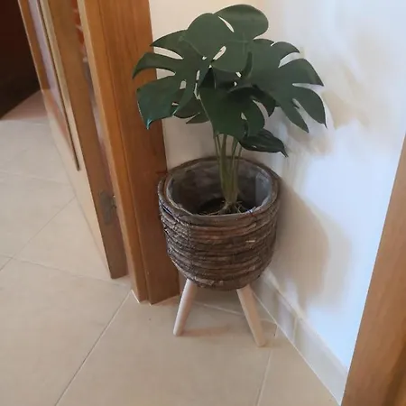 Casa De Praia - Apartamento Ericeira